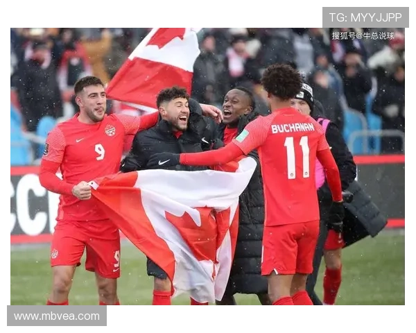 武汉羽毛球队在世界杯中的团队协作表现分析与启示