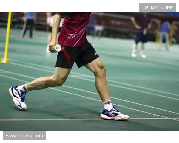 西安羽毛球队耐力训练的科学分析与实践探索 西安羽毛球队耐力训练的科学分析与实践探索