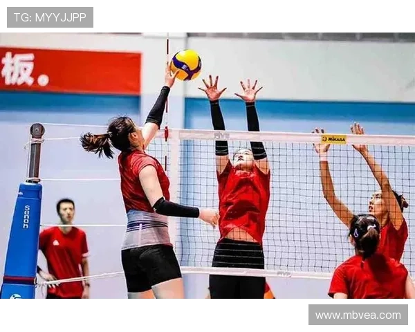 北京排球队运营分析：成功经验与教训的深度探讨与反思