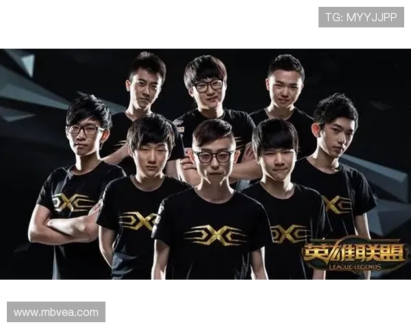 南京羽毛球队总决赛之路：拼搏与荣耀的奋斗历程回顾